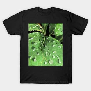 Claire's Hellebore T-Shirt